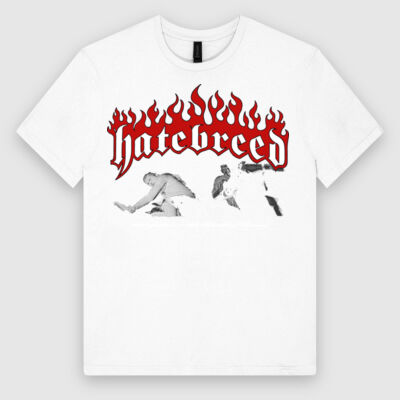 SOFT STYLE Thumbnail